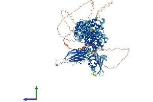 AlphaFold protein structure predicition of Human Recombinant AP3B1 Protein, UniprotID O00203 (AP3B1 Protein (AA 1-1094) (His tag))