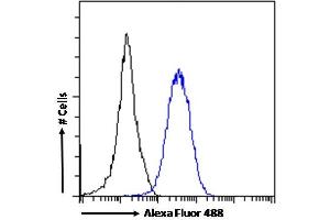 (ABIN625825) Flow cytometric analysis of paraformaldehyde fixed HeLa cells (blue line), permeabilized with 0. (RORC antibody  (AA 200-212))