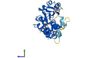 AlphaFold protein structure predicition of Mouse Recombinant Sult4a1 Protein, UniprotID P63046 (SULT4A1 Protein (AA 1-284) (His tag))