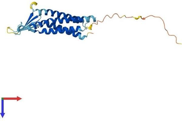 Claudin 9 Protein (CLDN9) (AA 1-217) (His tag)