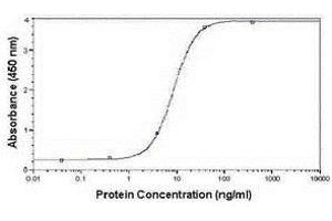 ELISA image for anti-Very Low Density Lipoprotein (VLDL) antibody (ABIN2467933)