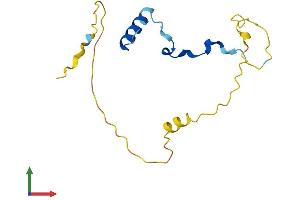 AlphaFold protein structure predicition of Human Recombinant PNRC2 Protein, UniprotID Q9NPJ4 (PNRC2 Protein (AA 1-139) (His tag))
