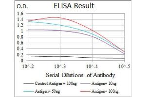 Red: Control Antigen (100ng) ; Purple: Antigen (10ng) ; Green: Antigen (50ng) ; Blue: Antigen (100ng). (FAS antibody)