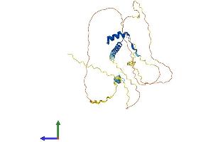 AlphaFold protein structure predicition of Human Recombinant HMX3 Protein, UniprotID A6NHT5