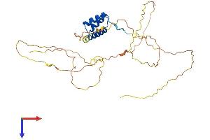 AlphaFold protein structure predicition of Human Recombinant DBX2 Protein, UniprotID Q6ZNG2 (DBX2 Protein (AA 1-339) (His tag))