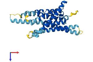 AlphaFold protein structure predicition of Human Recombinant TAS2R46 Protein, UniprotID P59540