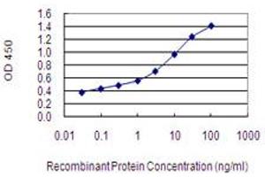 Detection limit for recombinant GST tagged IMPG2 is 0. (IMPG2 antibody  (AA 572-678))