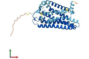 AlphaFold protein structure predicition of Human Recombinant OR10J1 Protein, UniprotID P30954 (OR10J1 Protein (AA 1-320) (His tag))