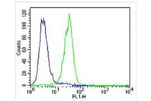 Overlay histogram showing U-87 MG cells stained with (ABIN656585 and ABIN2845847) (green line). (PLOD1 antibody  (N-Term))