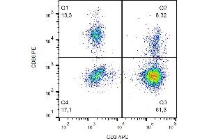 Flow cytometry analysis (surface staining) of human peripheral blood lymphocytes with anti-CD56 (MEM-188) PE. (CD56 antibody  (PE))