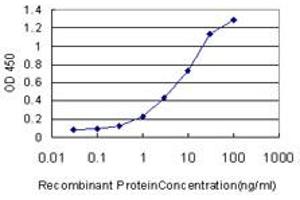 Detection limit for recombinant GST tagged ARHGDIA is approximately 0. (ARHGDIA antibody  (AA 1-204))