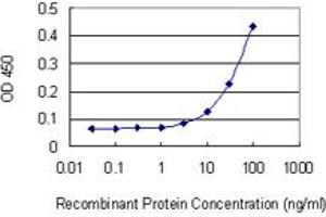 Detection limit for recombinant GST tagged SETDB2 is 3 ng/ml as a capture antibody. (SETDB2 antibody  (AA 620-719))