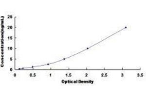 Neuropeptide Y Receptor Y2 (NPY2R) ELISA Kit