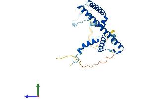 Protein Structure (PS) image for Ribosomal RNA Processing 36 Homolog (RRP36) (AA 1-244) protein (His tag) (ABIN7557180)