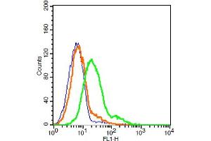 Lovo cells probed with Giantin/GOLGB1 Polyclonal Antibody, ALEXA FLUOR® 488 Conjugated (bs-13356R-A488) at 1:20 for 30 minutes compared to control cells (blue) and isotype control (orange). (Golgin B1 (GOLGB1) (AA 751-850) antibody (AbBy Fluor® 488))