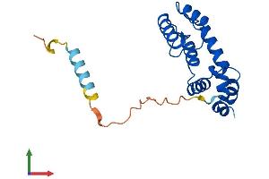 AlphaFold protein structure predicition of Human Recombinant RGS5 Protein, UniprotID O15539 (RGS5 Protein (AA 1-181) (His tag))