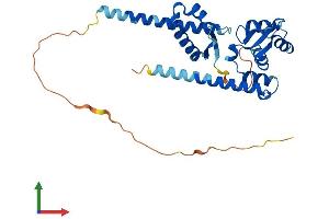 AlphaFold protein structure predicition of Human Recombinant MAGEF1 Protein, UniprotID Q9HAY2 (MAGEF1 Protein (AA 1-307) (His tag))