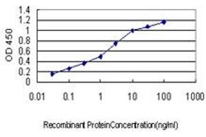 Detection limit for recombinant GST tagged UBR1 is approximately 0. (UBR1 antibody  (AA 2-100))