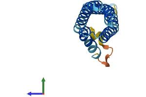 AlphaFold protein structure predicition of Mouse Recombinant Cnih3 Protein, UniprotID Q6ZWS4 (CNIH3 Protein (AA 1-160) (His tag))