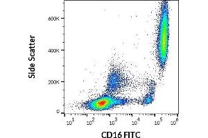 Flow cytometry surface staining pattern of human peripheral whole blood stained using anti-human CD16 (LNK16) FITC (20 μL reagent / 100 μL of peripheral whole blood). (CD16 antibody  (FITC))