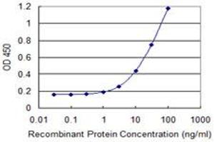 Detection limit for recombinant GST tagged ZNF193 is 0. (Zinc Finger and SCAN Domain Containing 9 (ZSCAN9) (AA 1-90) antibody)