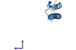 Protein Structure (PS) image for Chromosome 16 Open Reading Frame 61 (C16orf61) (AA 1-79) protein (Fc Tag) (ABIN7546760)