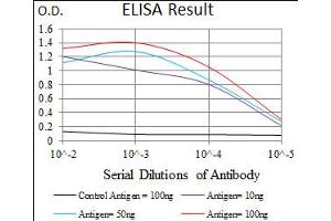 Image no. 3 for anti-Mesoderm Posterior 2 Homolog (Mesp2) antibody (ABIN1491466) (Mesp2 antibody)