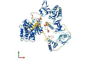 Protein Structure (PS) image for Calcium/calmodulin-Dependent serine Protein Kinase (MAGUK Family) (CASK) (AA 1-926) protein (His tag) (ABIN7553574)