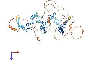 AlphaFold protein structure predicition of Human Recombinant ZNF619 Protein, UniprotID Q8N2I2