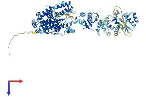 AlphaFold protein structure predicition of Human Recombinant ERVK-18 Protein, UniprotID Q9QC07