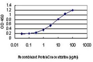 Detection limit for recombinant GST tagged GHRL is approximately 0. (Ghrelin antibody  (AA 1-117))