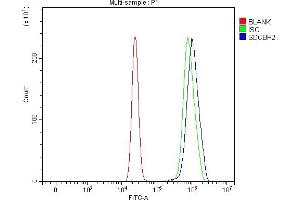 Flow Cytometry analysis of U20S cells using anti-Syntenin 2/SDCBP2 antibody (ABIN7600017). (SDCBP2 antibody  (AA 14-292))