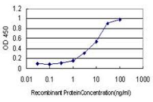 Detection limit for recombinant GST tagged RIT2 is approximately 0. (RIT2 antibody  (AA 1-217))