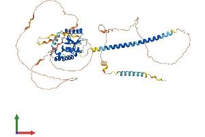AlphaFold protein structure predicition of Mouse Recombinant Otud5 Protein, UniprotID Q3U2S4 (OTUD5 Protein (AA 1-566) (His tag))