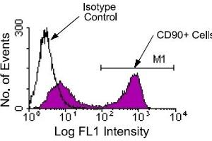 Flow Cytometry (FACS) image for anti-CD90 (THY1) antibody (FITC) (ABIN371022) (CD90 antibody  (FITC))