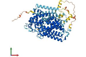 AlphaFold protein structure predicition of Mouse Recombinant Slc5a1 Protein, UniprotID Q8C3K6