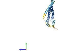 AlphaFold protein structure predicition of Mouse Recombinant Chmp1b2 Protein, UniprotID Q9CQD4 (Chmp1b2 Protein (AA 1-199) (His tag))