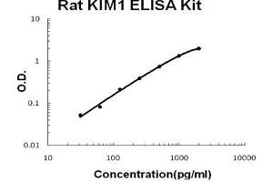 Rat KIM1 PicoKine ELISA Kit standard curve