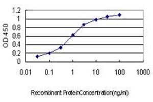 Detection limit for recombinant GST tagged CDH17 is approximately 0. (LI Cadherin antibody  (AA 24-131))