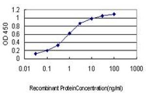 Detection limit for recombinant GST tagged CDH17 is approximately 0. (LI Cadherin antibody  (AA 24-131))