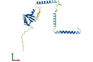 AlphaFold protein structure predicition of Mouse Recombinant Rrp7a Protein, UniprotID Q9D1C9 (RRP7A Protein (AA 1-280) (His tag))