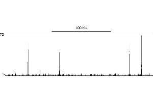 ChIP DNA-Sequencing (ChIP-seq) image for anti-Tripartite Motif Containing 24 (TRIM24) (AA 700-750) antibody (ABIN7454678) (TRIM24 antibody  (AA 700-750))