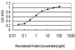 Detection limit for recombinant GST tagged SENP6 is approximately 0. (SENP6 antibody  (AA 1-110))