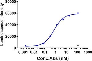 The internalization rate of the anti- human CLDN6( IMAB027)in human CLDN6 HEK293 cells increased in an antibody concentration-dependent manner, reaching 60 % at 1 nM.