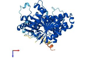 Protein Structure (PS) image for Tubulin, beta 6 (TUBb6) (AA 1-446) protein (His tag) (ABIN7544188)