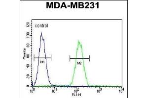 STX7 Antibody (N-term) (ABIN1881855 and ABIN2840425) flow cytometric analysis of MDA-M cells (right histogram) compared to a negative control cell (left histogram).
