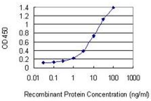 Detection limit for recombinant GST tagged HSH2D is 0. (HSH2D antibody  (AA 251-352))