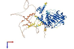 AlphaFold protein structure predicition of Mouse Recombinant Hnrnpul2 Protein, UniprotID Q00PI9 (HNRNPUL2 Protein (AA 1-745) (His tag))