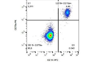 Intracellular staining of CD79a in human peripheral blood with anti-CD79a (HM57) PE. (CD79a antibody  (AA 202-216) (PE))