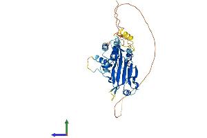 AlphaFold protein structure predicition of Mouse Recombinant Irf9 Protein, UniprotID Q61179 (IRF9 Protein (AA 1-399) (His tag))